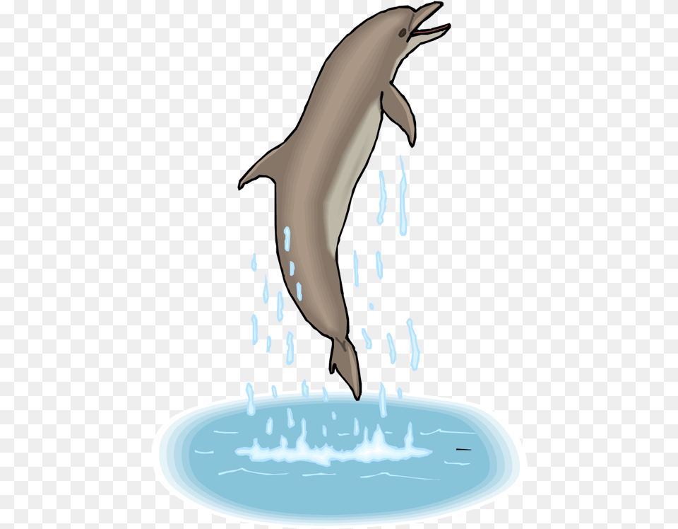 Gif Dolphin Clipart Dolphin Gif Background, Animal, Mammal, Sea Life, Bird Free Transparent Png