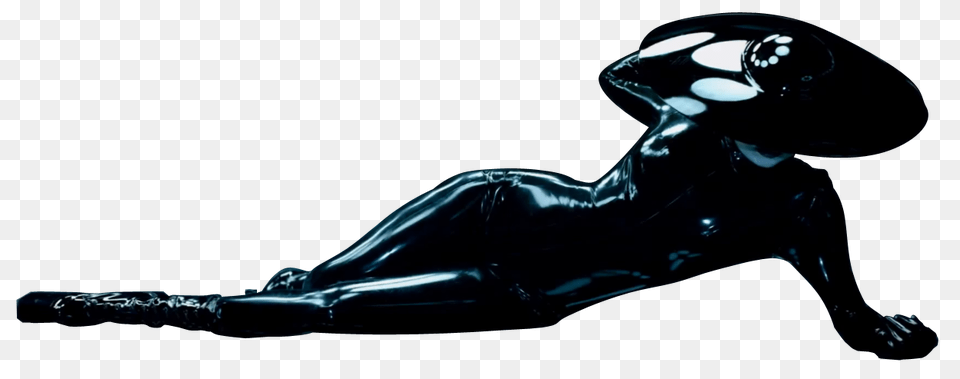 Gif Lady Gaga Fame, Clothing, Latex Clothing, Adult, Male Free Transparent Png