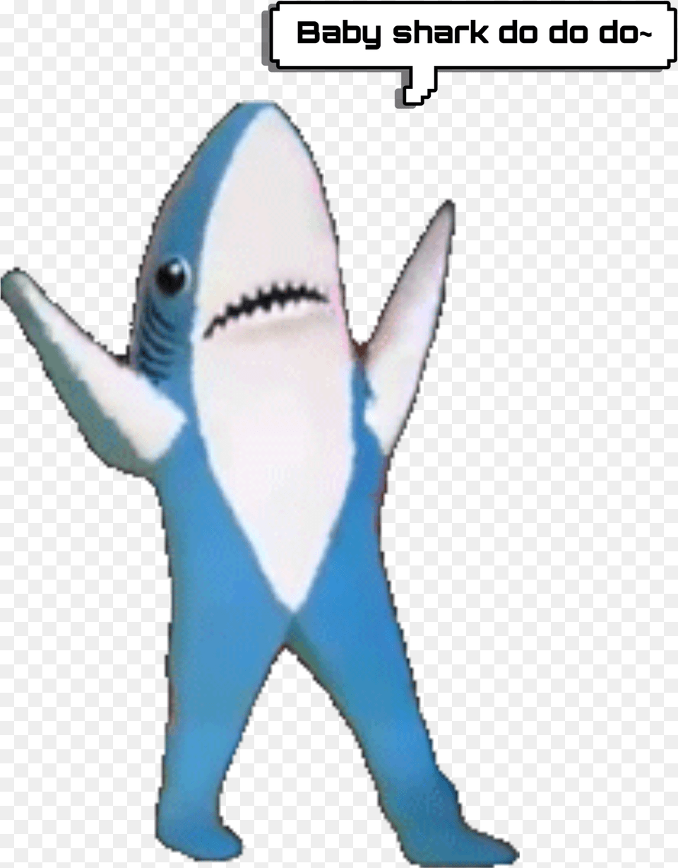 Gif Left Shark, Animal, Sea Life, Fish Free Transparent Png