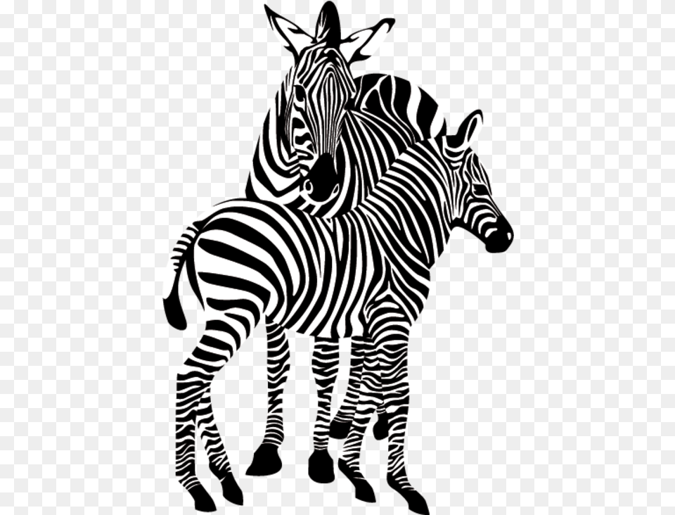 Gif Transparent Background Clipart Zebras On White Background, Animal, Mammal, Wildlife, Zebra Png