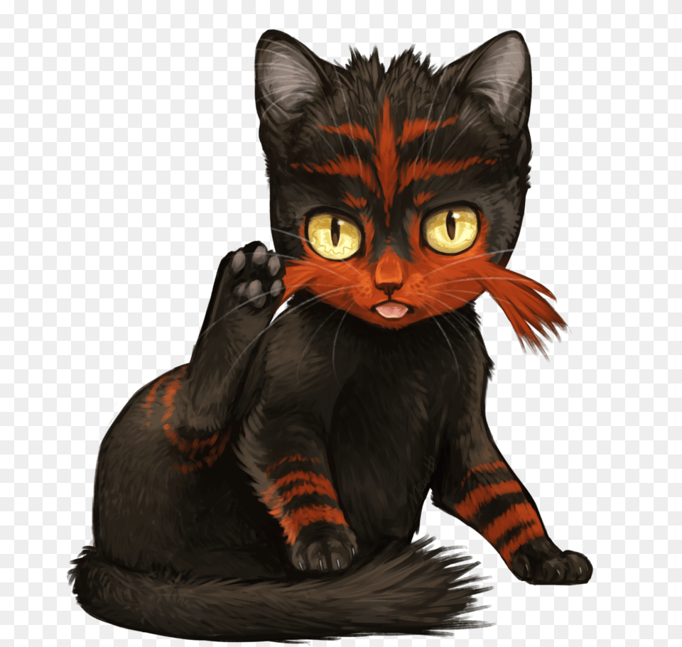Gifgif Animation Animated Pictures Pokemon Litten In Real Life, Animal, Cat, Mammal, Pet Png