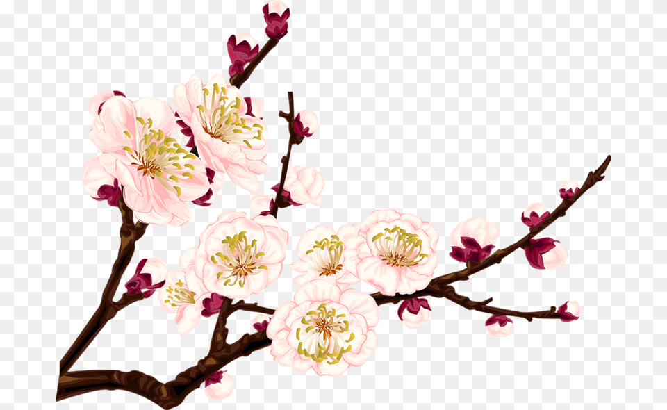 Gifs Fleurs Et Nature Gifs Fleurs Et Nature Chinese Flower Clip Art, Plant, Cherry Blossom Png