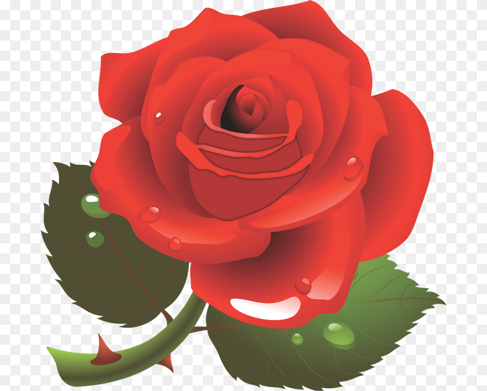 Gifs Im193genes De Rosas Personne Spciale, Flower, Plant, Rose Free Transparent Png