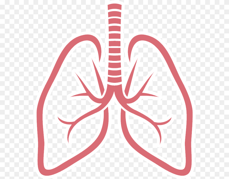 Gifs Y Fondos Paz Lungs Clipart Free Transparent Png