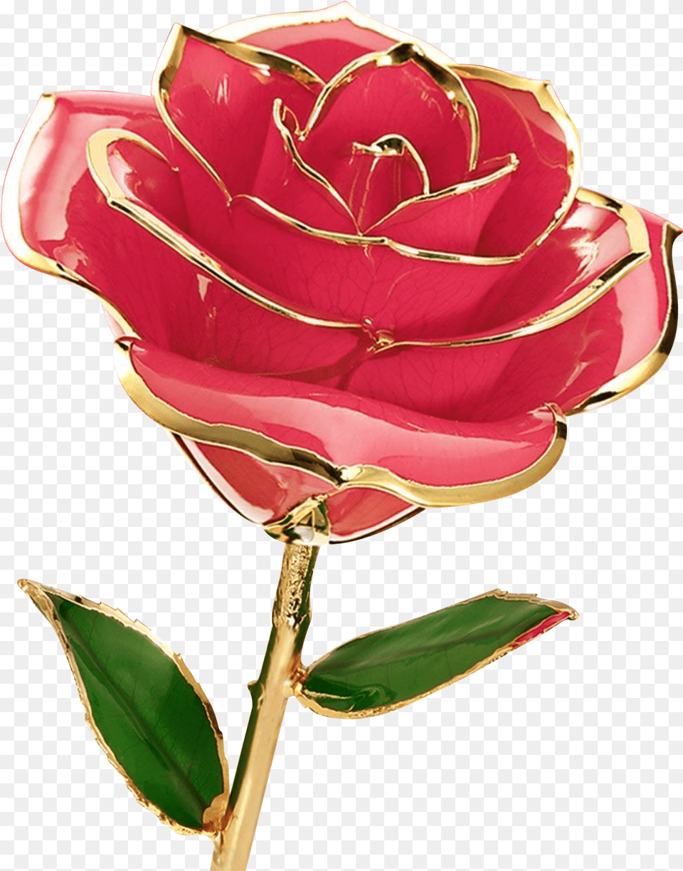 Gift, Flower, Leaf, Plant, Rose Png Image