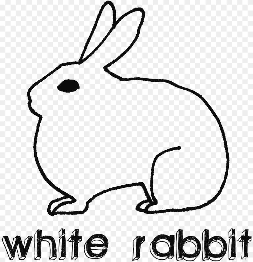 Gift Card Domestic Rabbit, Animal, Mammal Png