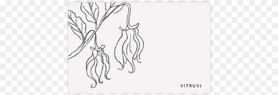 Gift Card Vitruvi Vitruvi, Art, Drawing, Pattern Free Transparent Png