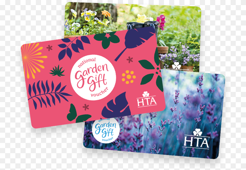 Gift Cards Greeting Card, Herbal, Herbs, Plant, Flower Free Png Download