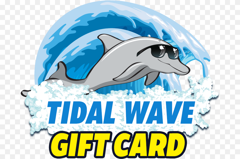 Gift Cards Tidal Wave Auto Spa, Animal, Dolphin, Mammal, Sea Life Png Image