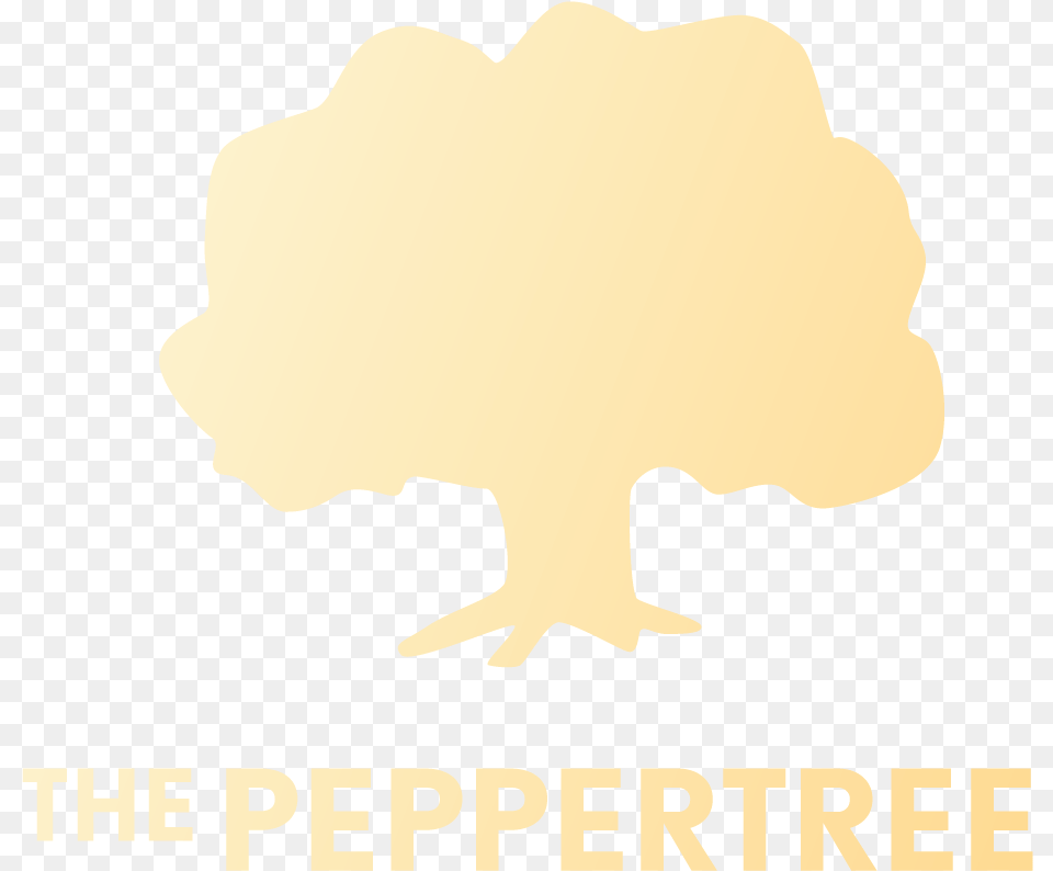 Gift Certificate Pepper Tree 150 Retebrescia Png