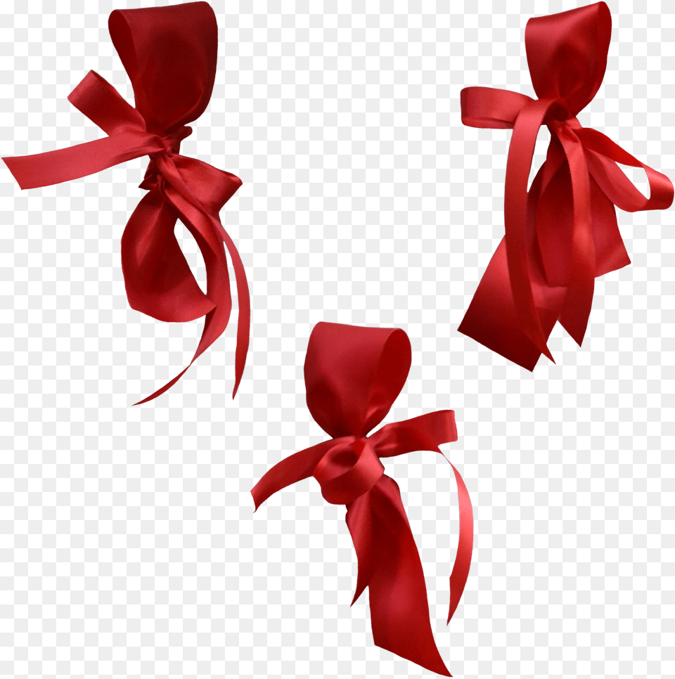 Gift Wrapping, Accessories, Formal Wear, Tie, Flower Png