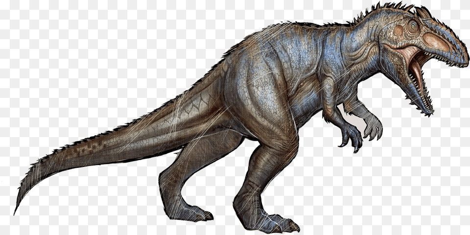 Giganotosaurus Ark, Animal, Dinosaur, Reptile, T-rex Free Png Download