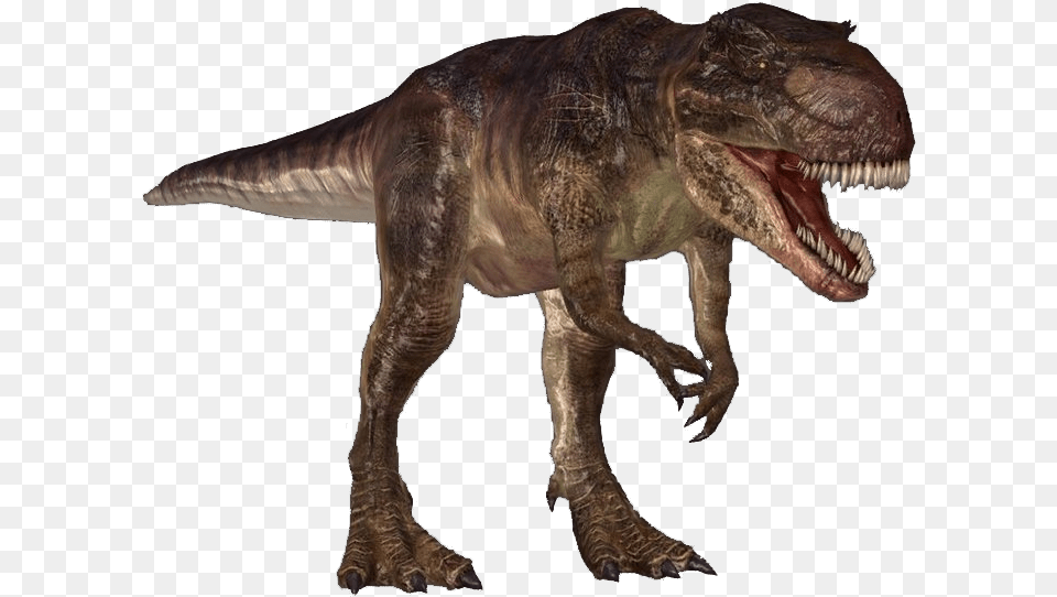 Giganotosaurus Is One Of The Largest Theropods Around Giganotosaurus Gif, Animal, Dinosaur, Reptile, T-rex Free Png Download