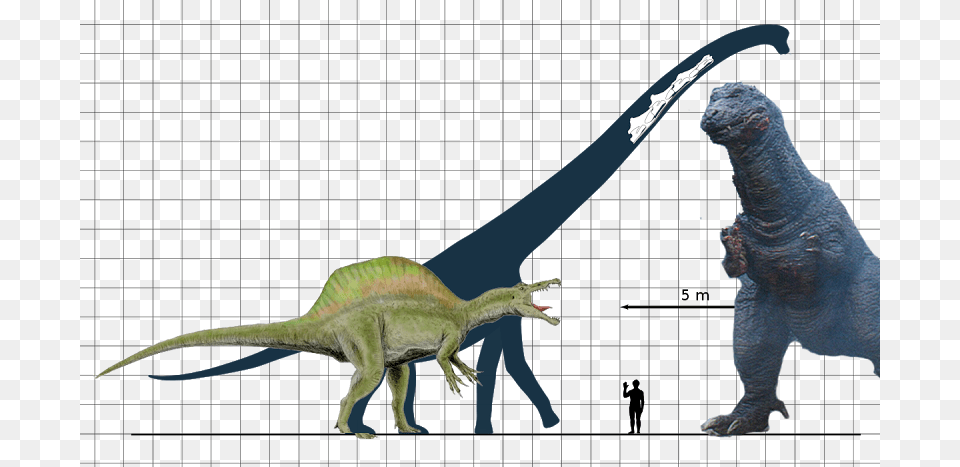 Giganotosaurus Size And Indominus Rex, Animal, Dinosaur, Reptile, T-rex Free Png