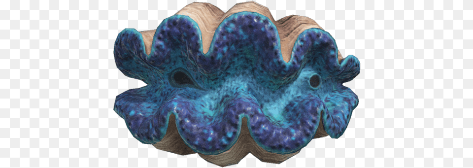 Gigas Giant Clam Gigas Giant Clam Animal Crossing, Invertebrate, Seashell, Food, Seafood Png Image