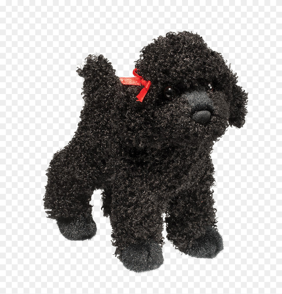 Gigi Black Poodle Black Poodle, Animal, Canine, Mammal, Dog Free Transparent Png