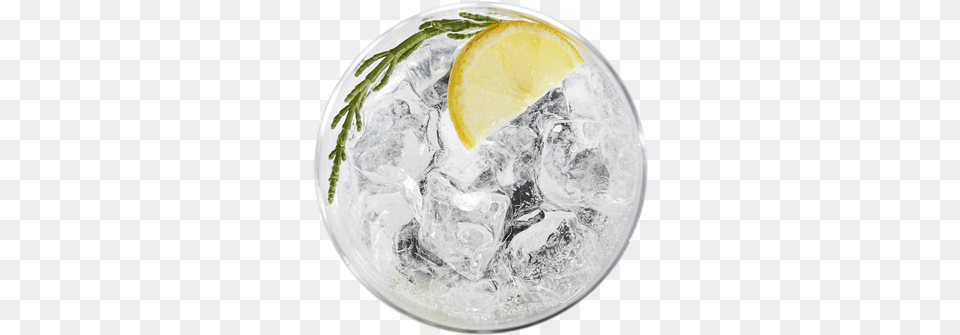 Gin And Tonic In A Glass With Lemon Slice And Samphire Gin An Tonic, Citrus Fruit, Food, Fruit, Plant Free Png