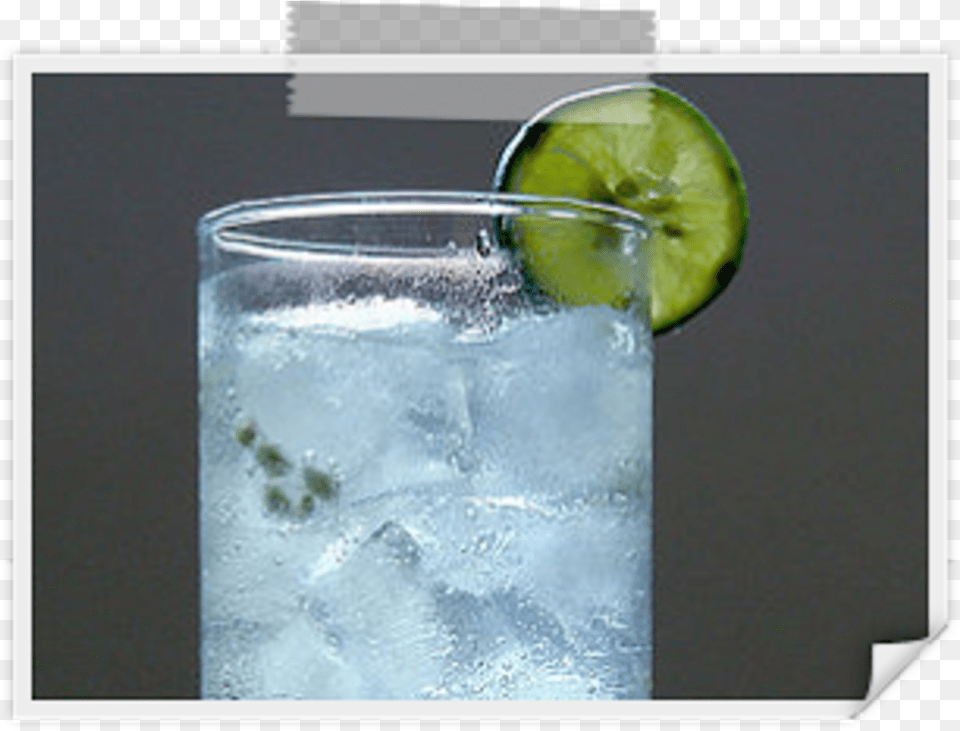 Gin Gin N Tonic, Alcohol, Beverage, Cocktail, Mojito Free Png