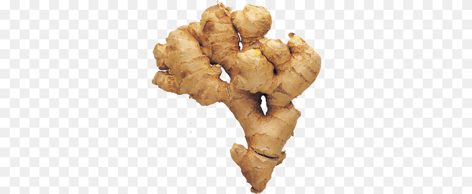 Ginger 100g Greater Galangal, Food, Plant, Spice Free Png Download