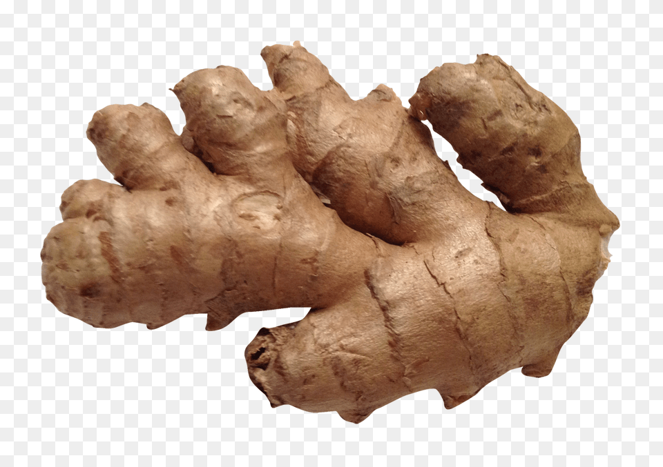 Ginger, Food, Plant, Spice Png Image