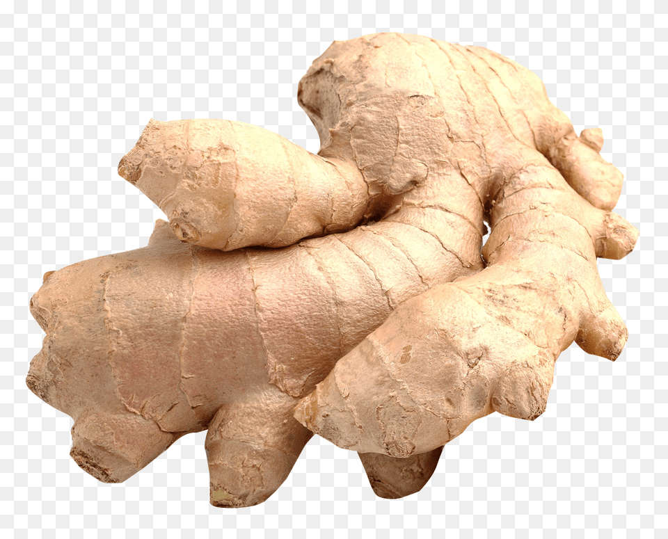 Ginger, Food, Plant, Spice, Animal Png