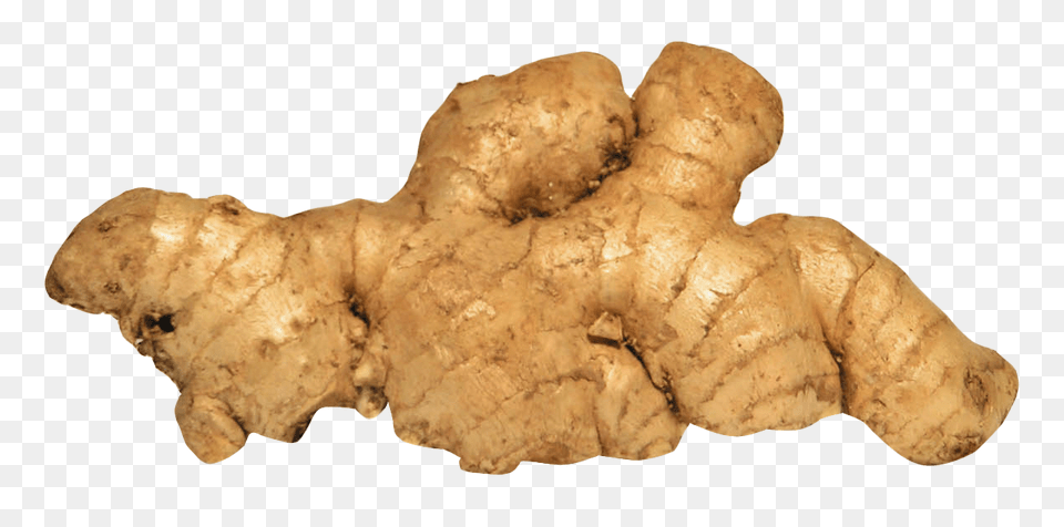 Ginger, Food, Plant, Spice, Bread Free Png