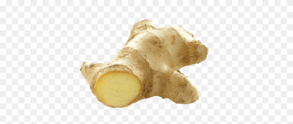 Ginger, Food, Plant, Spice, Bread Png Image