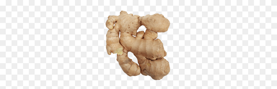 Ginger, Food, Plant, Spice, Teddy Bear Png