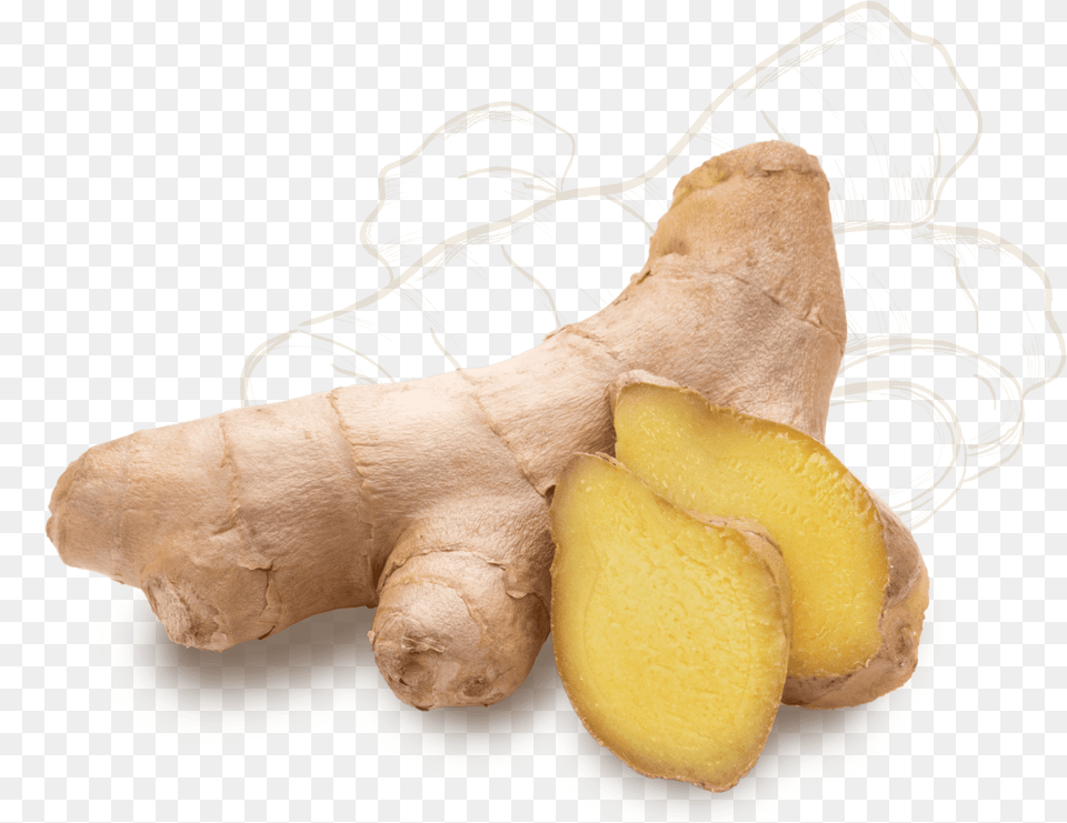 Ginger, Food, Plant, Spice, Bread Png Image