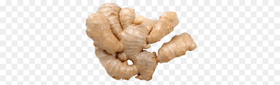 Ginger, Food, Plant, Spice, Bread Free Png