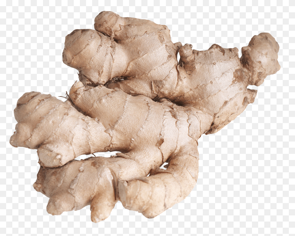 Ginger, Food, Plant, Spice Free Png Download