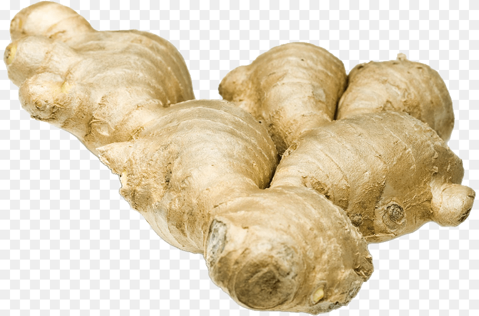 Ginger, Food, Plant, Spice, Bread Free Png