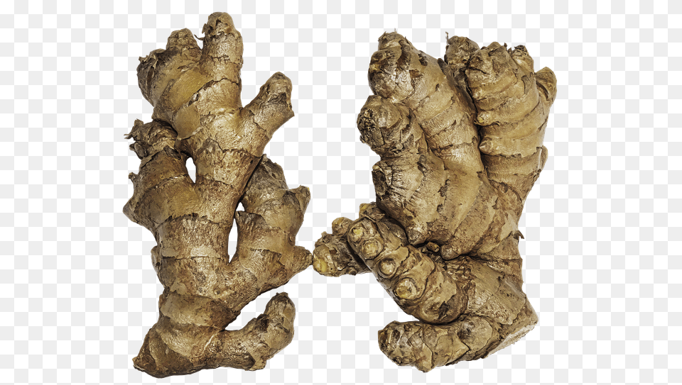 Ginger Food, Plant, Spice, Person Free Transparent Png