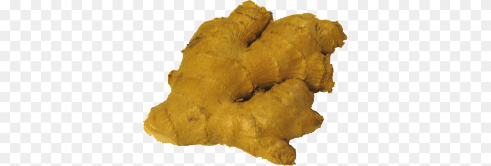 Ginger, Food, Plant, Spice, Animal Free Transparent Png