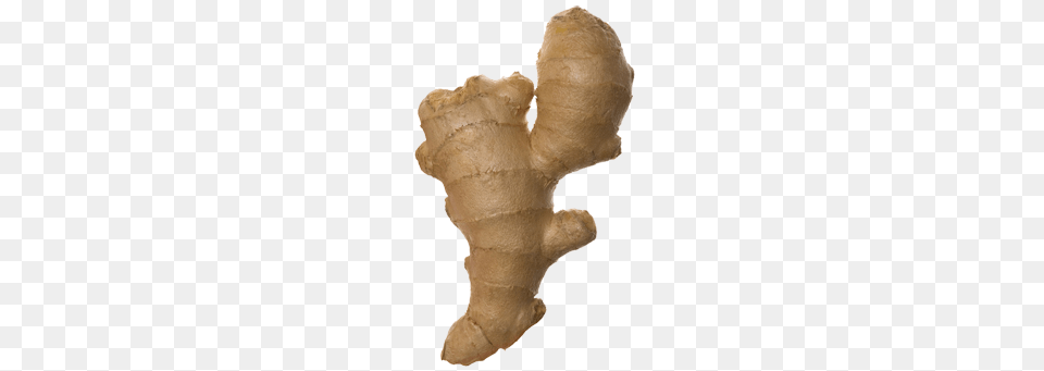 Ginger, Food, Plant, Spice, Baby Free Transparent Png