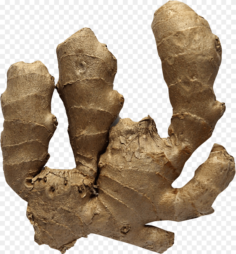 Ginger, Food, Plant, Spice, Person Png Image