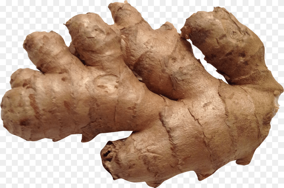 Ginger, Food, Plant, Spice, Person Png Image