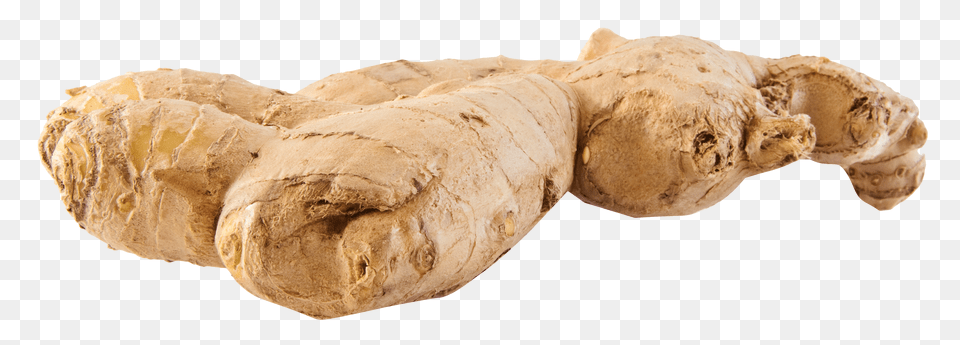 Ginger, Food, Plant, Spice, Animal Png