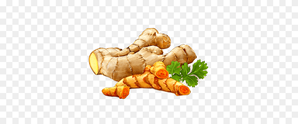 Ginger, Food, Plant, Spice, Herbs Png