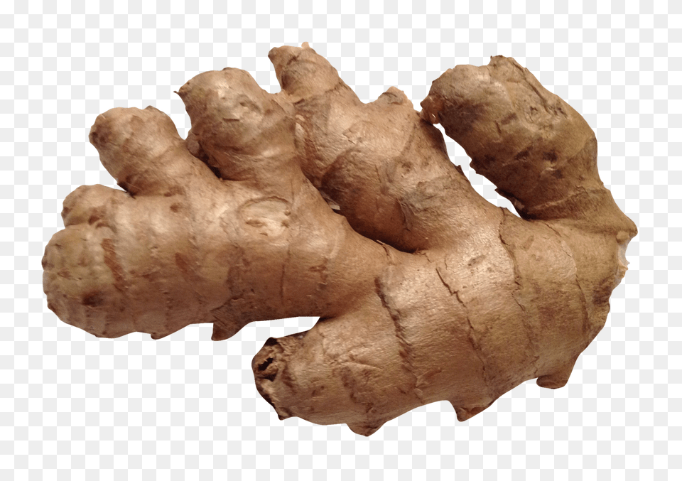 Ginger, Food, Plant, Spice Free Png Download