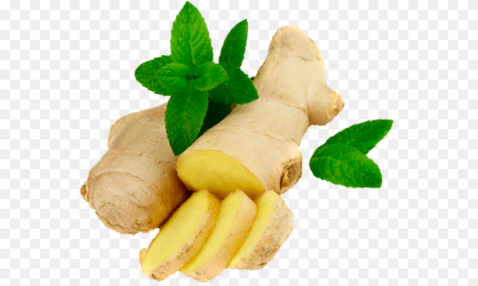 Ginger, Herbs, Plant, Food, Spice Png