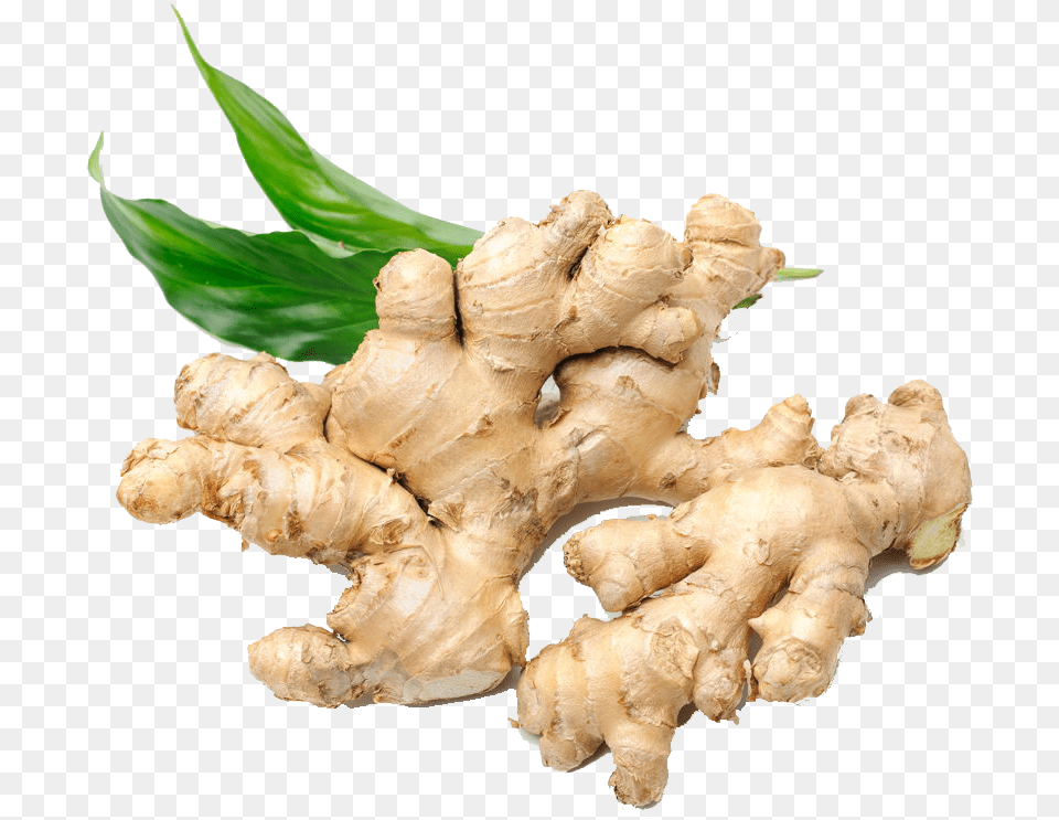 Ginger Background Ginger, Food, Plant, Spice Free Png