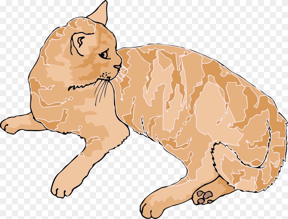 Ginger Cat Clipart, Animal, Mammal, Manx, Pet Png