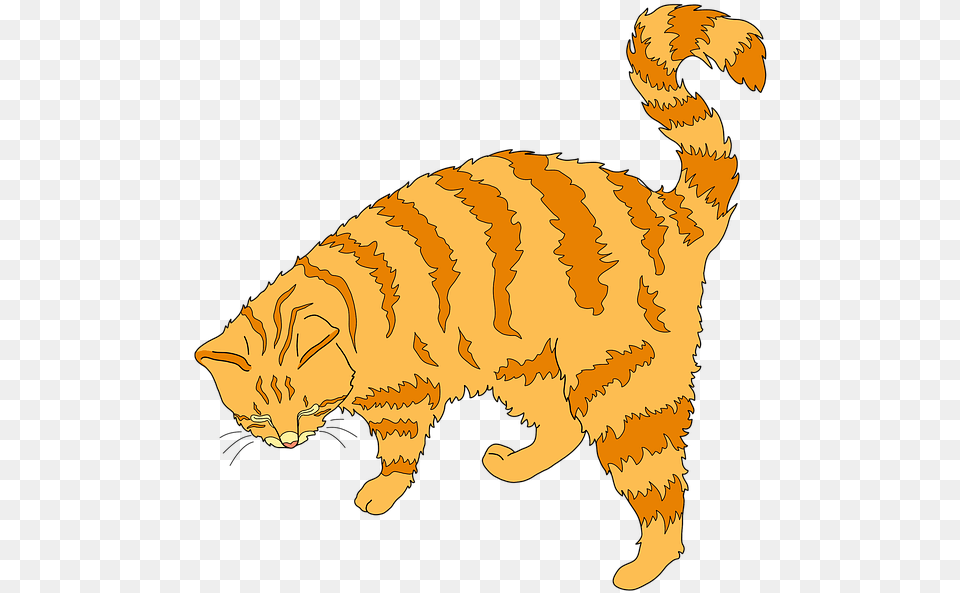 Ginger Cat Clipart, Animal, Mammal, Manx, Pet Free Transparent Png