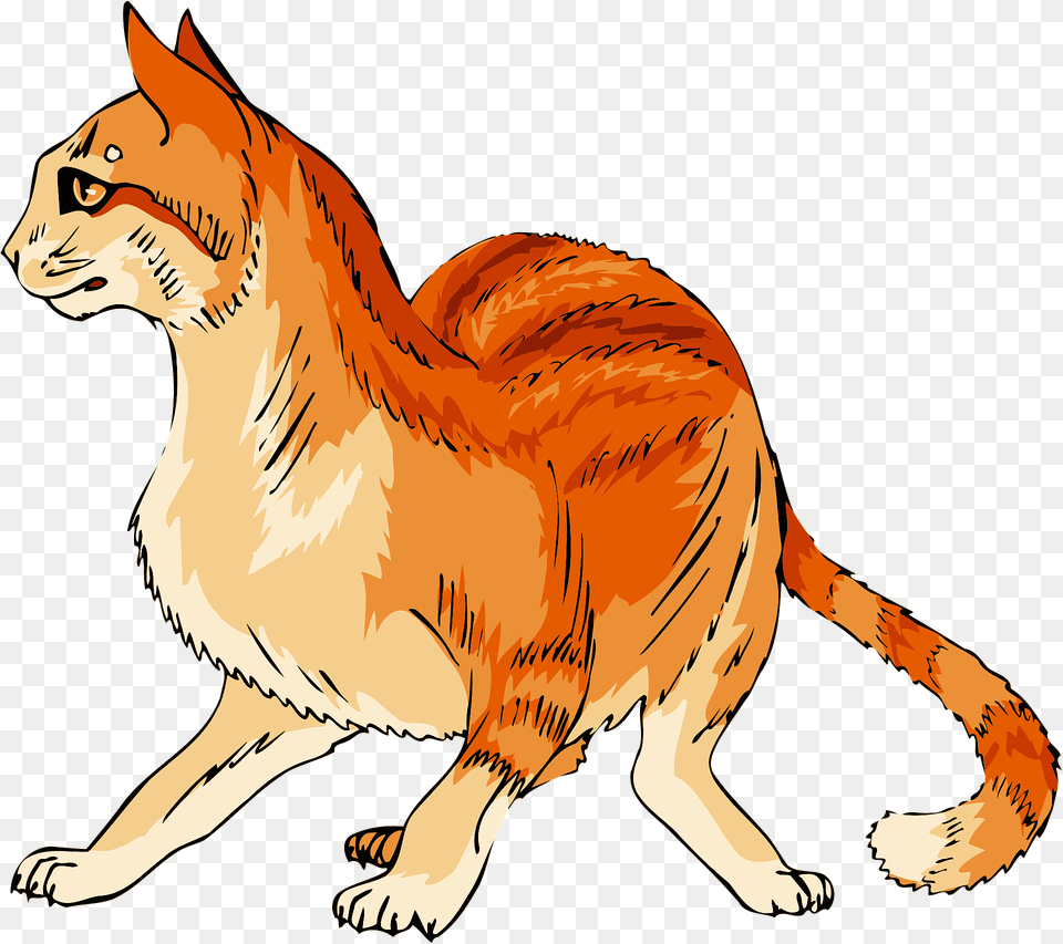 Ginger Cat Clipart, Animal, Lion, Mammal, Wildlife Png