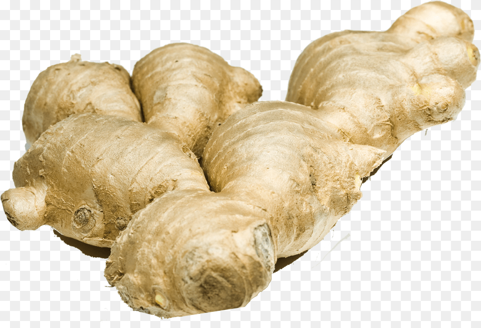 Ginger Download Ginger Root, Food, Plant, Spice, Bread Png Image