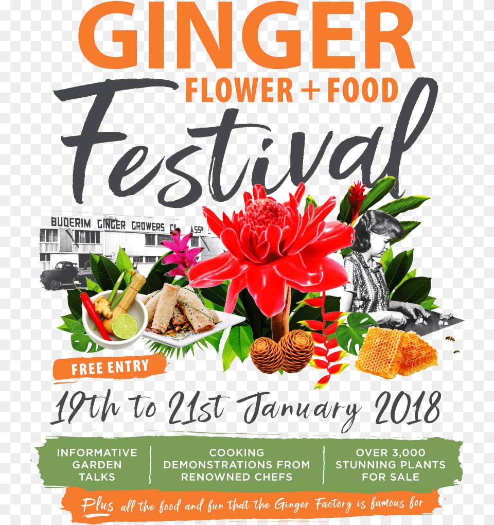 Ginger Flower Food Festival Logo Flyer, Advertisement, Poster, Child, Female Free Transparent Png