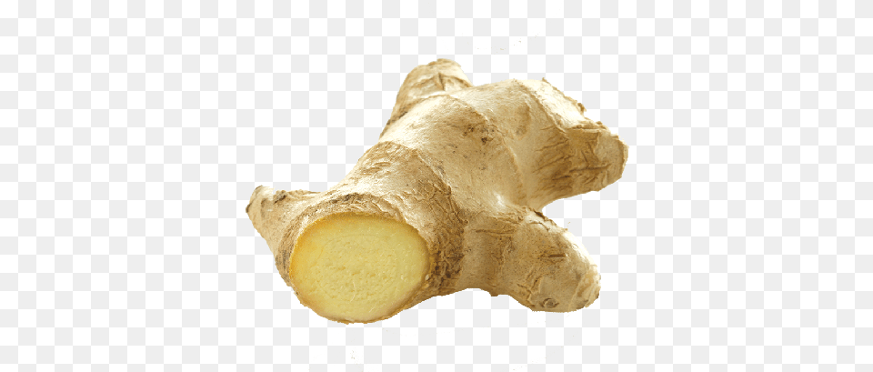 Ginger Ginger And Olive Oil, Food, Plant, Spice Free Png