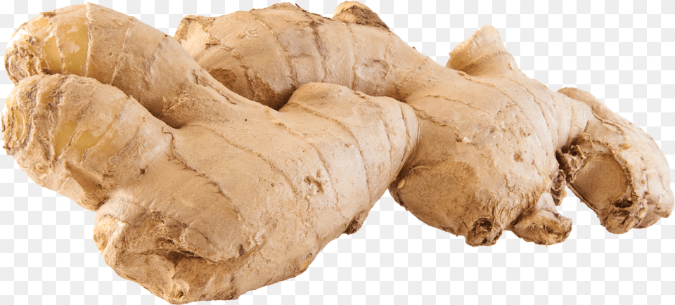 Ginger Gingers, Food, Plant, Spice, Bread Free Png