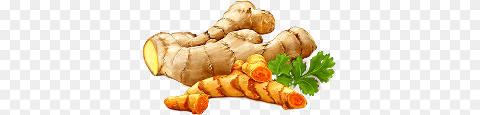 Ginger Icon Clipart Turmeric, Herbs, Plant, Food, Spice Free Png Download